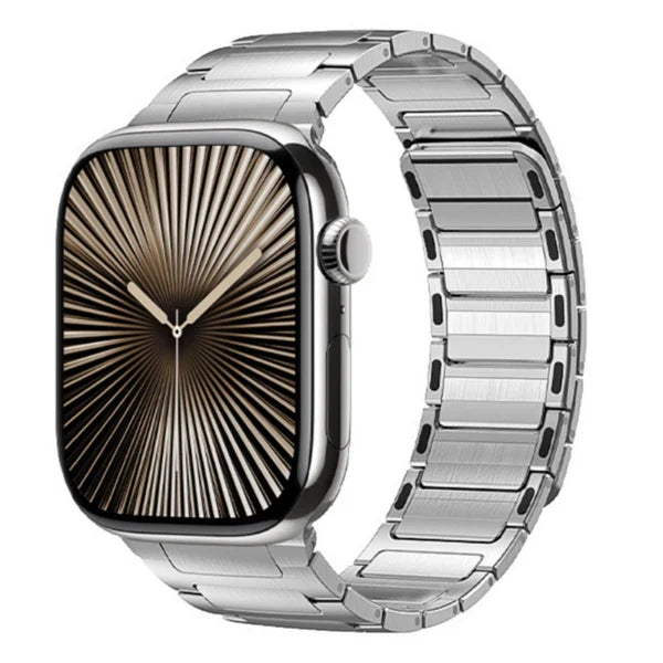 Magnetic Stainless Steel Band