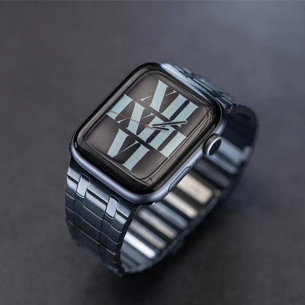 AP Frosted Stainless Steel Magnetic Band