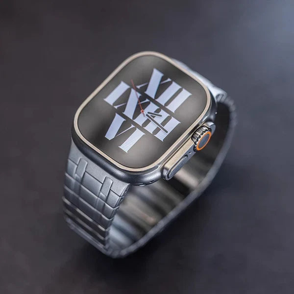 AP Frosted Stainless Steel Magnetic Band