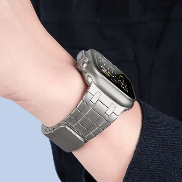 AP Frosted Stainless Steel Magnetic Band
