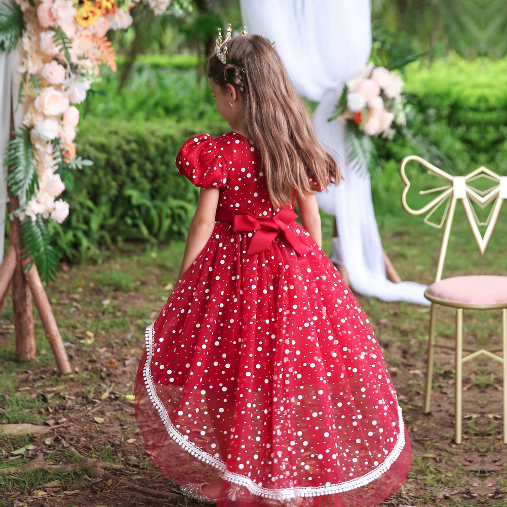 Flower Girl Dress  Birthday Princess Party Holiday Wedding Dresses Trailing