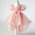 Flower Girl Dress Puff Wedding Dress Bow Sequins Princess Dress Birthday Costume Party Holiday