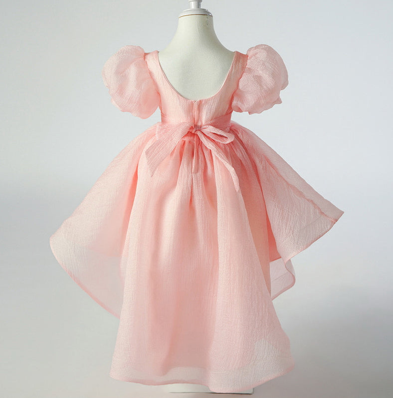 Flower Girl Dress Puff Wedding Dress Bow Sequins Princess Dress Birthday Costume Party Holiday