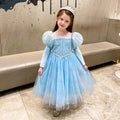 Frozen 2 Girl Princess Elsa Costume Dresses For Halloween Christmas Party Holiday