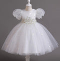 Flower Girl Dress Sequins Puff Wedding Dress Princess Dress Birthday Costume Party Dress Holiday
