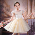 Flower Girl Dress Wedding Dress Sequins Princess Dress Birthday Costume Party Holiday