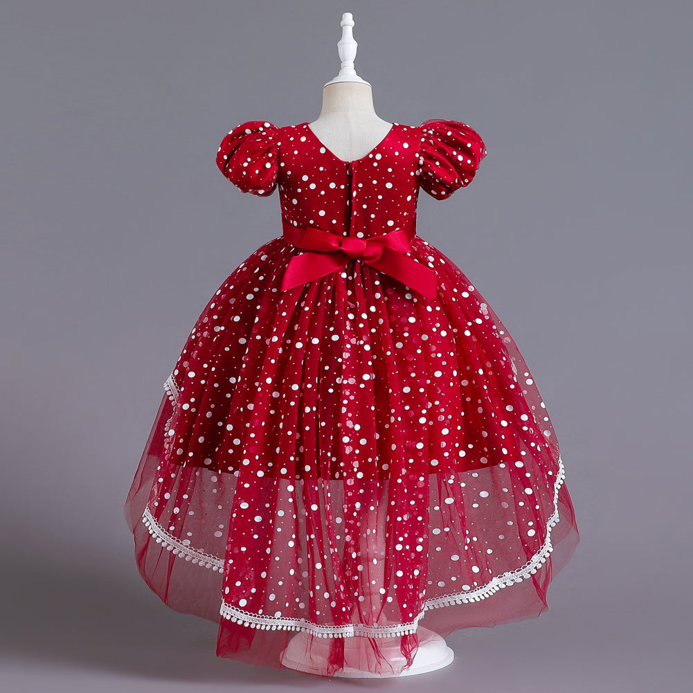 Flower Girl Dress  Birthday Princess Party Holiday Wedding Dresses Trailing