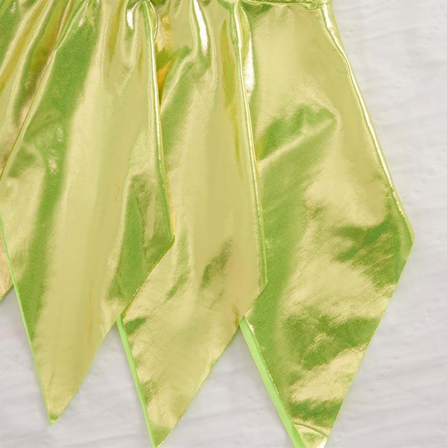 Metallic Forest Fairy Costume Set